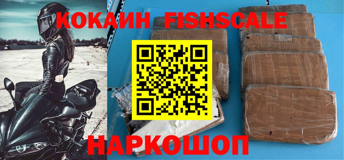 Cocaine Fish Scale  Вход с VPN  Салехард 