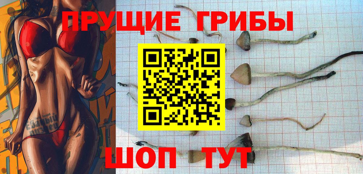 Галлюциногенные грибы MAGIC MUSHROOMS  Псилоцибиновые грибы мицелий  Вход с VPN  Салехард 