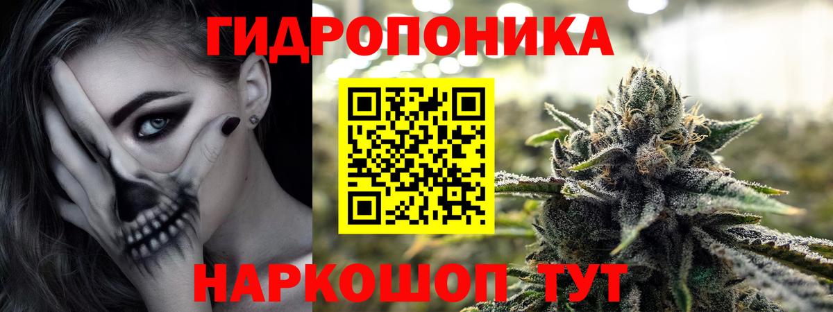 Канабис OG Kush  Вход с VPN  Канабис AK-47  Канабис OG Kush  Салехард 
